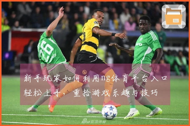 新手玩家如何利用ng体育平台入口轻松上手，重拾游戏乐趣与技巧