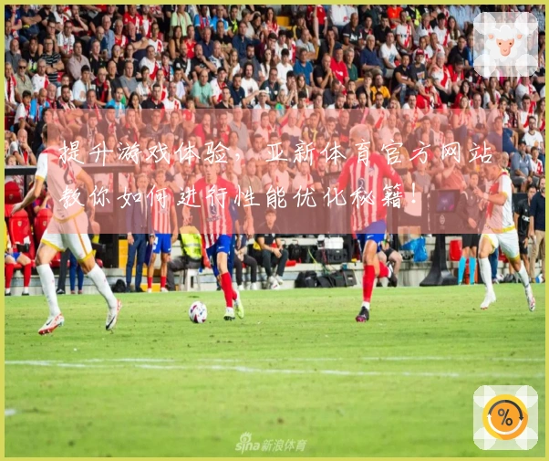提升游戏体验，亚新体育官方网站教你如何进行性能优化秘籍！
