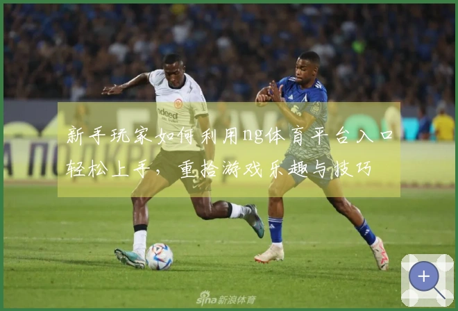 新手玩家如何利用ng体育平台入口轻松上手，重拾游戏乐趣与技巧
