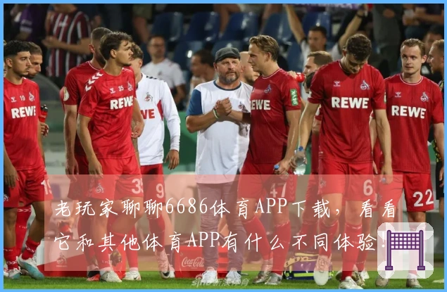老玩家聊聊6686体育APP下载，看看它和其他体育APP有什么不同体验！