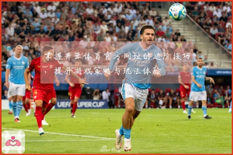 掌握开云体育官方网址的进阶技巧，提升游戏策略与玩法体验